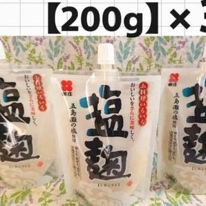 【600g】塩麹 (国産・五島灘の塩使用)