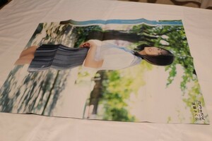  постер Nogizaka 46. глициния .... глициния Sakura 