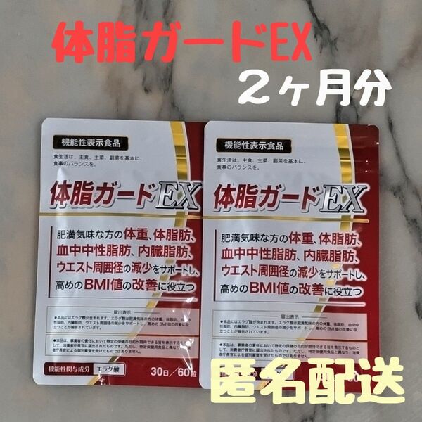 体脂ガードEX 機能性表示食品 60粒 1ヶ月(30日)分 2袋 サプリメント ダイエットサプリ