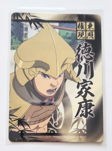 10 戦国BASARA トレーディングカード 徳川家康 バサラ