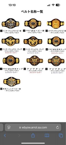 全日本プロレス チャンピオンベルト10種コンプリート インターナショナルタッグ④のみ写真の通りバラ販売