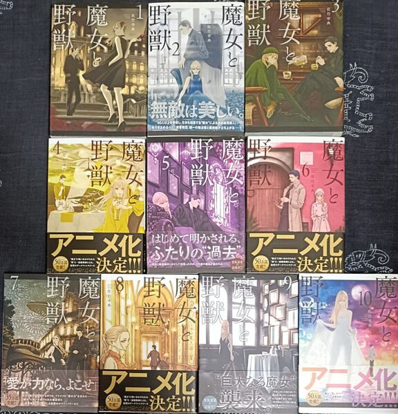 魔女と野獣 全10巻