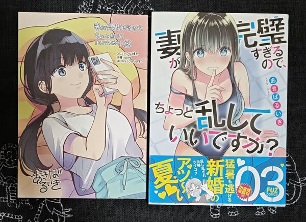 妻が完璧すぎるので、ちょっと乱していいですか? 3巻 ※特典付き