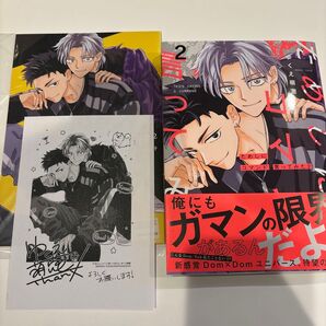 ためしにコマンド言ってみた 2巻 アニメイト 有償特典小冊子 ゆくえ萌葱