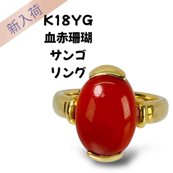 K18 血赤珊瑚 サンゴ リング