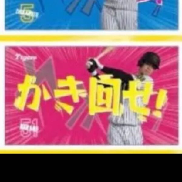 阪神タイガース 外野限定 シークレット ミニタオル