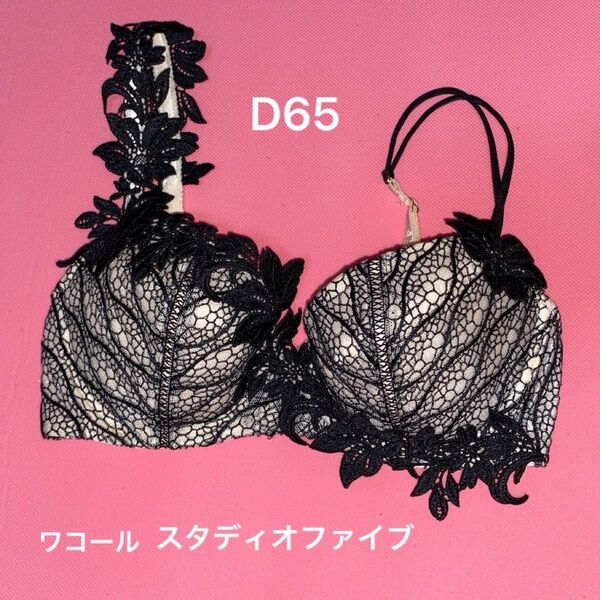 ワコールスタディオファイブプラチナレーベルD65