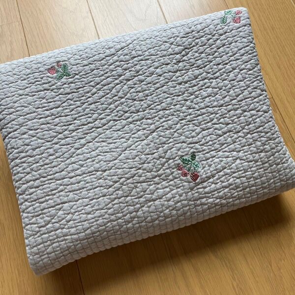 ★可愛いらしいいちごの刺繍入りヌビ生地 ベージュ