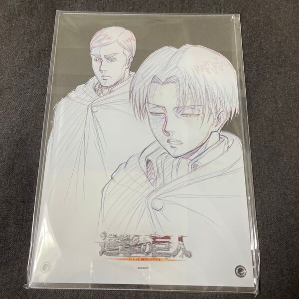 進撃の巨人 Key:prime アクリルパネル 原画 リヴァイ エルヴィン WIT STUDIO TSUTAYA