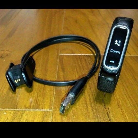初期化動作確認 vivosmart 4 日本正規品 ガーミン GARMIN