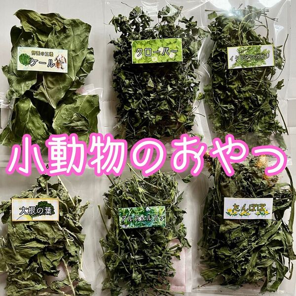 小動物のおやつ☆乾燥野菜 野草 6袋詰め合わせ♪