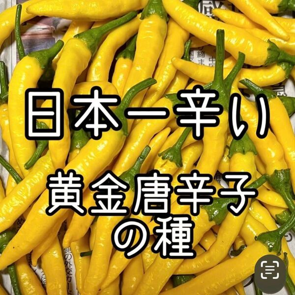 日本一辛い!! 黄金唐辛子の種 30粒