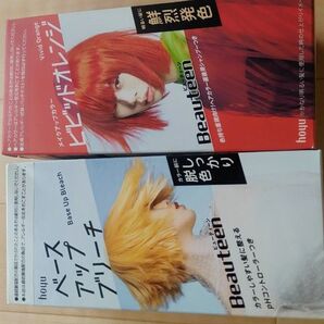 hoyu ビューティーン ベースアップブリーチ&メイクアップカラー 2点セット