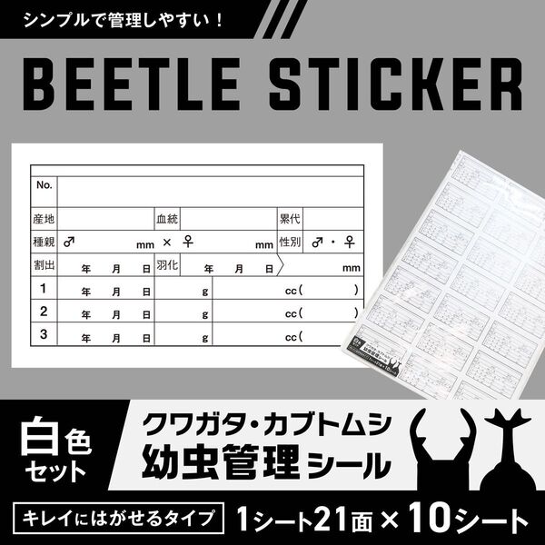 クワガタ・カブトムシ幼虫・成虫の飼育管理ラベルシール〈A4/1シート21面〉白10シート/カット済/菌糸瓶・ケースに◎ハンドメイド