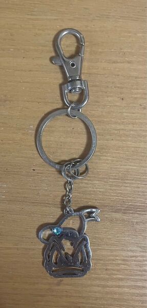ディズニー ドナルドダック メタルキーホルダー