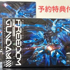 西川貴教 with t.komuro FREEDOM 完全生産限定盤 CD ガンプラ HG フリーダムガンダム ポラライズドクリア