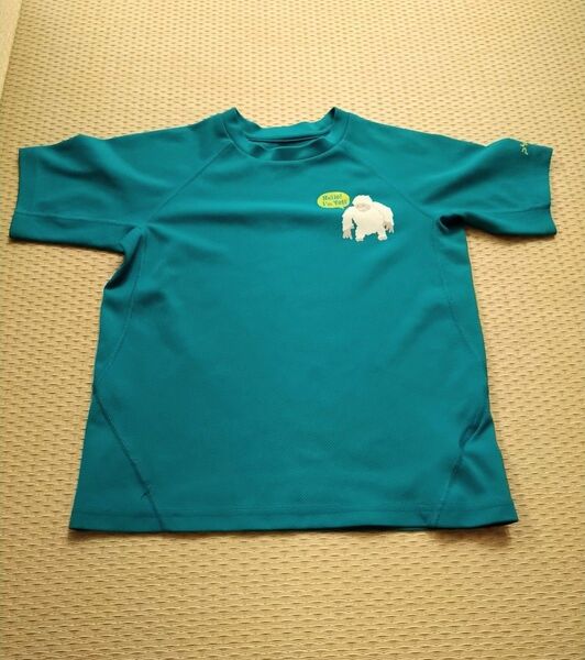 【5/20までの掲載です】Phenix フェニックス 速乾 半袖Tシャツ 130