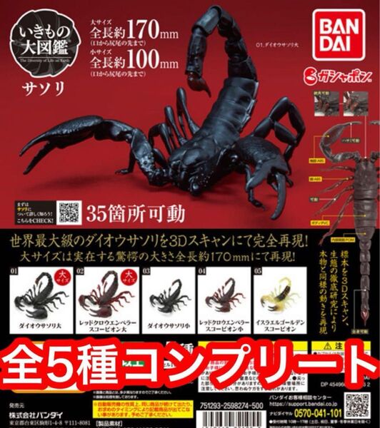 いきもの大図鑑 サソリ さそり ダイオウサソリ レッドクロウエンペラー他 全5種 フィギュア