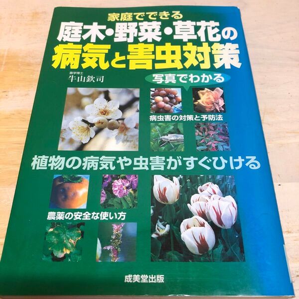家庭でできる 庭木 野菜 草花の病気と害虫対策