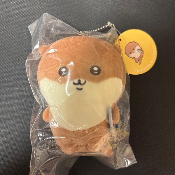ナガノくじ カワウソ マスコット ナガノ