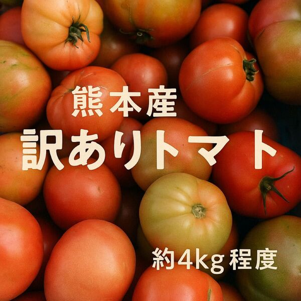 農家さん直送!コスパ◎ 熊本産 訳ありトマト 約4kg