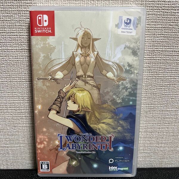 新品未使用品 ロードス島戦記ディードリット・イン・ワンダーラビリンス Switch