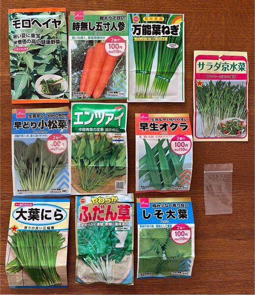 野菜の種 10種類セット