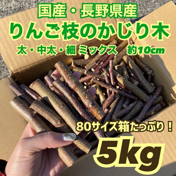 ★大量 りんご かじり木 5kg 80サイズ箱いっぱい うさぎ チンチラ ハムスター 小動物 齧歯類 げっ歯類 ストレス発散 2