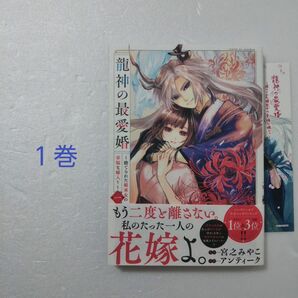 龍神の最愛婚 ~捨てられた姫巫女の幸福な嫁入り~ 1巻/アンティーク/宮之みやこ/一迅社