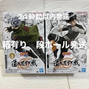 NARUTO-ナルト-疾風伝 造形忍界大戦 はたけカカシ ロック・リー