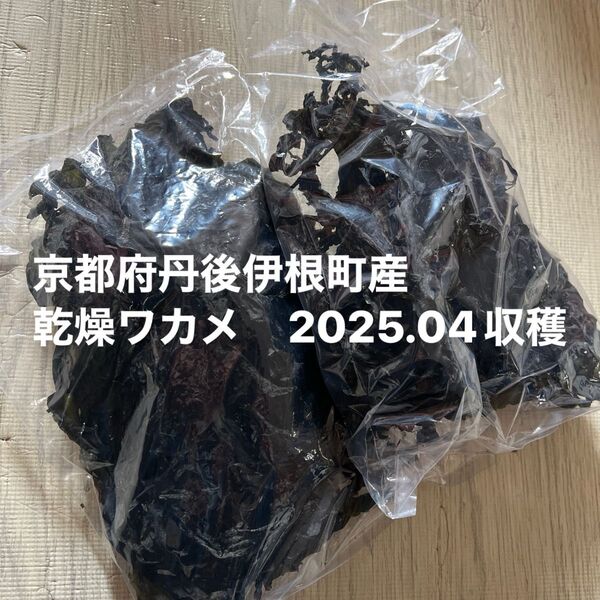 京都府丹後伊根町産乾燥ワカメ