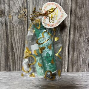 【ミントの香り】ハンドクリーム & リップクリームセット ワンコイン以内でプチギフトにもおすすめ 3品購入は1060円!