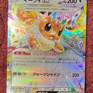 テラスタルフェスex イーブイex
