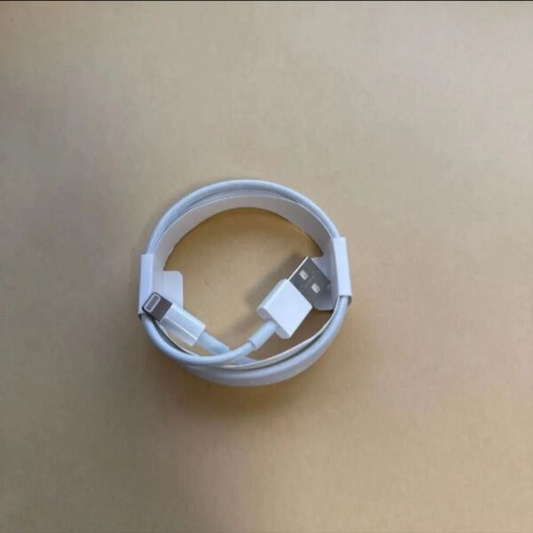 Apple iPod付属品 純正充電ケーブル 新品未使用品