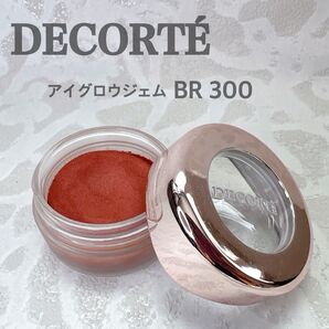 DECORTE コスメデコルテ アイグロウジェム BR300 テラコッタカラー