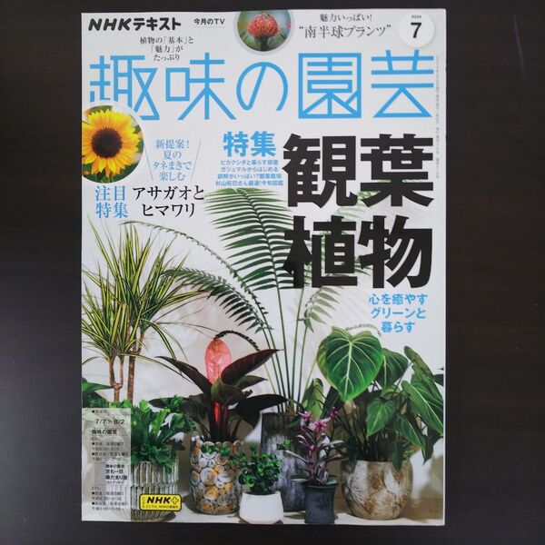 NHKテキスト 趣味の園芸 2024年7月号 特集 観葉植物