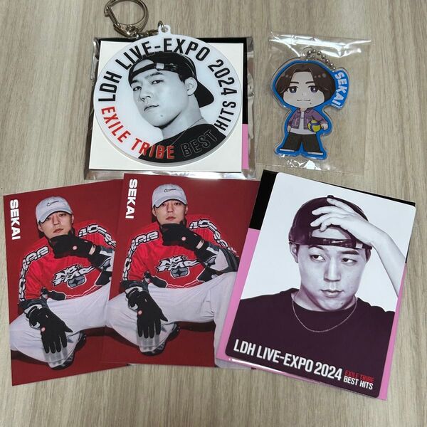 FANTASTICS フォトカード アクリルキーホルダー 世界 EXPO ラウンドワン