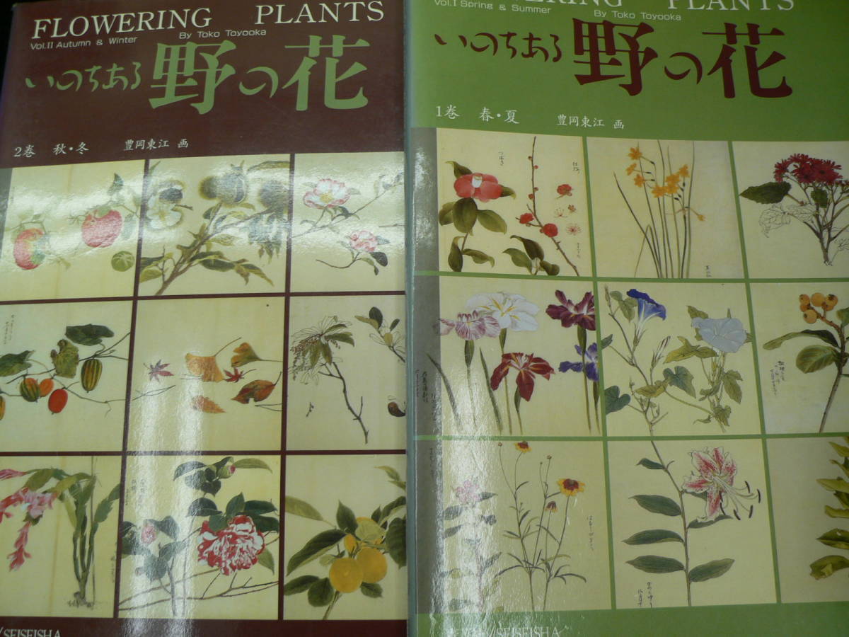 Living Wildflowers Spring, Summer, Autumn 2-Book Set V-II, Painting, Art Book, Collection, Art Book