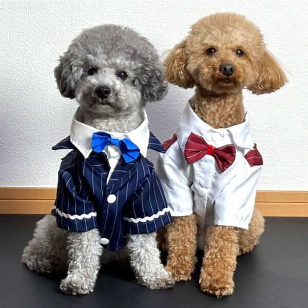 犬用古着 フォーマルウェア 2着セット