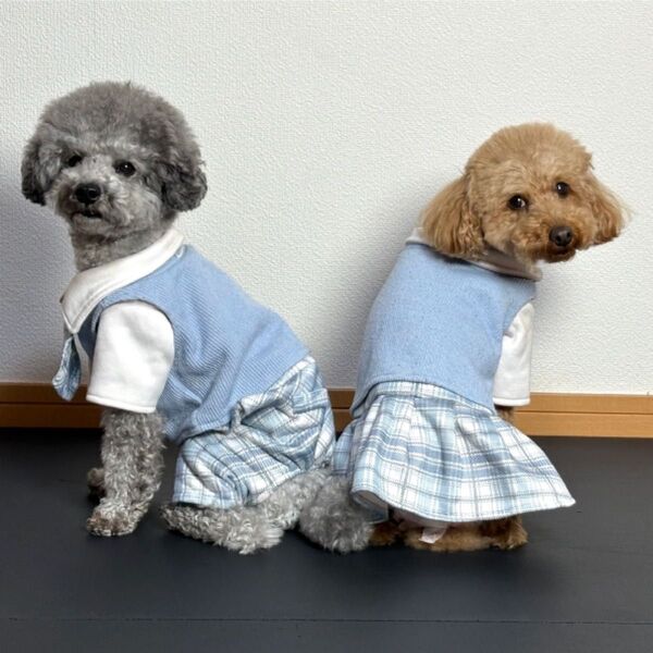 犬用古着 チェック柄ワンピース 水色 ベスト スカート ドッグウェア