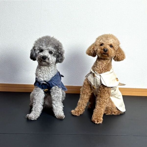 犬用服古着 ドッグウェア トレンチコート風