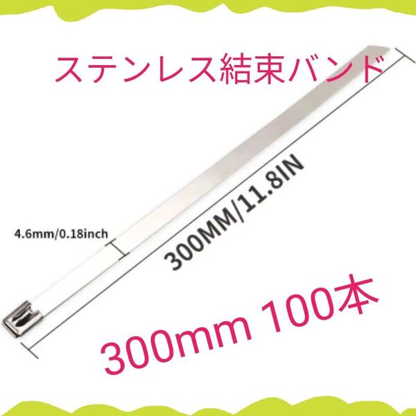 【新品 100本】 4.6mm幅×300mm ステンレス製結束バンド SUS304製 タイラップ 金属バンド