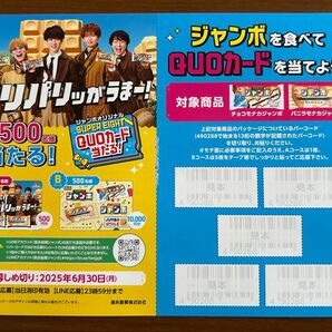 懸賞 森永ジャンボモナカ バーコード14枚+応募はがき6枚