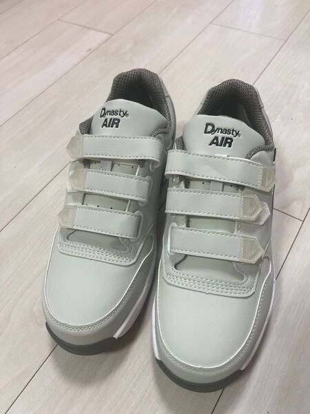 Dynasty AIR 超安全スニーカーサイズ26.5