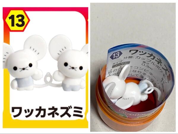 ポケットモンスター チョコエッグ 13 ワッカネズミ