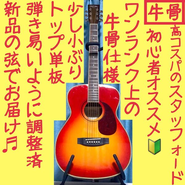 【牛骨】Stafford!トップ単板!少し小ぶり!【弾き易く調整☆新品の弦】