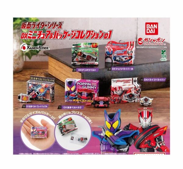 コンプ 仮面ライダーシリーズ DXミニチュア&パッケージコレクション01