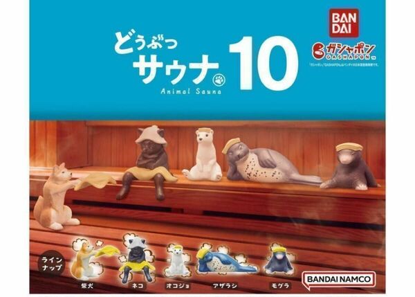 A-34 コンプ どうぶつサウナ10 全5種セット ガチャ 動物 銭湯