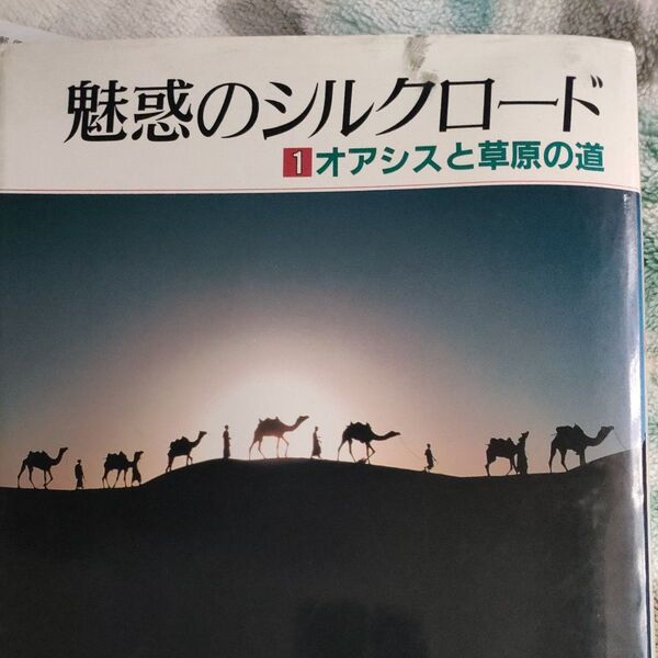 魅惑のシルクロード オアシスと草原の道