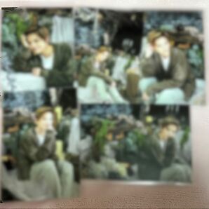 朝美絢 写真5枚 即購入可能